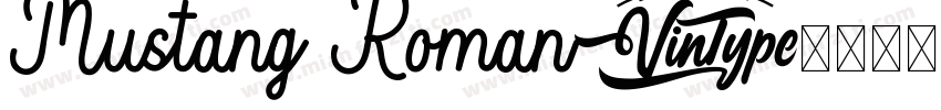 Mustang Roman字体转换